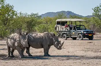 Rhino sighting on a game drive in Etosha