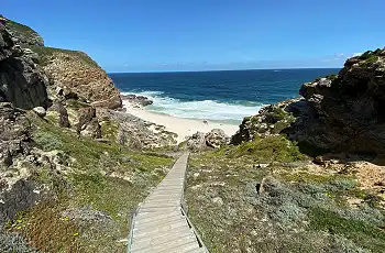 Gorgeous wooden walkways in the Cape Point Nature Reserve
