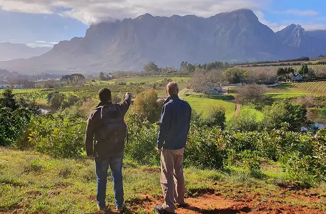 Walk through the winelands with an experienced guide