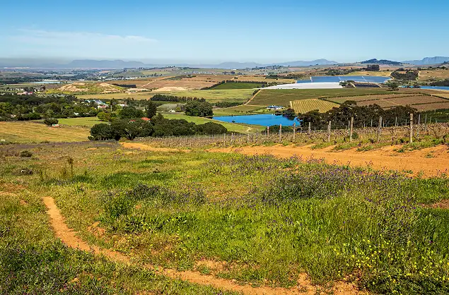 Take in the beautiful views of the Cape Winelands