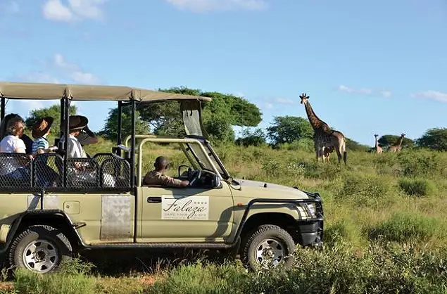 On a guided safari at Falaza