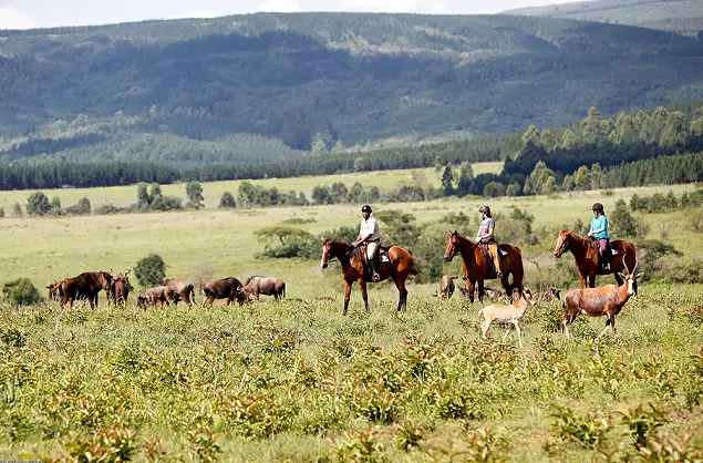 Horseback safari in Mlilwane Wildlife Sanctuary