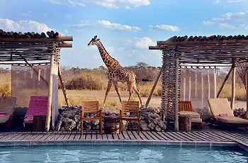 Swimming pool at Chem Chem Lodge, Tarangire National Park