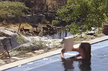 Mwiba Lodge, Serengeti, Tanzania