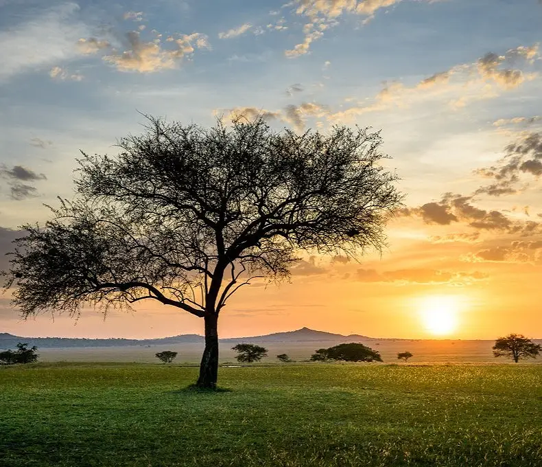 12 Day  Luxury Tanzania Fly-in Safari