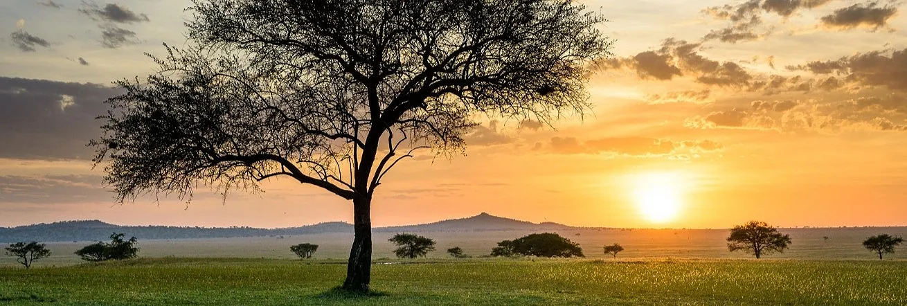 Serengeti near Singita Sabora
