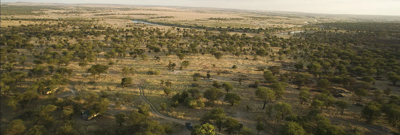 Vast wilderness, Tanzania