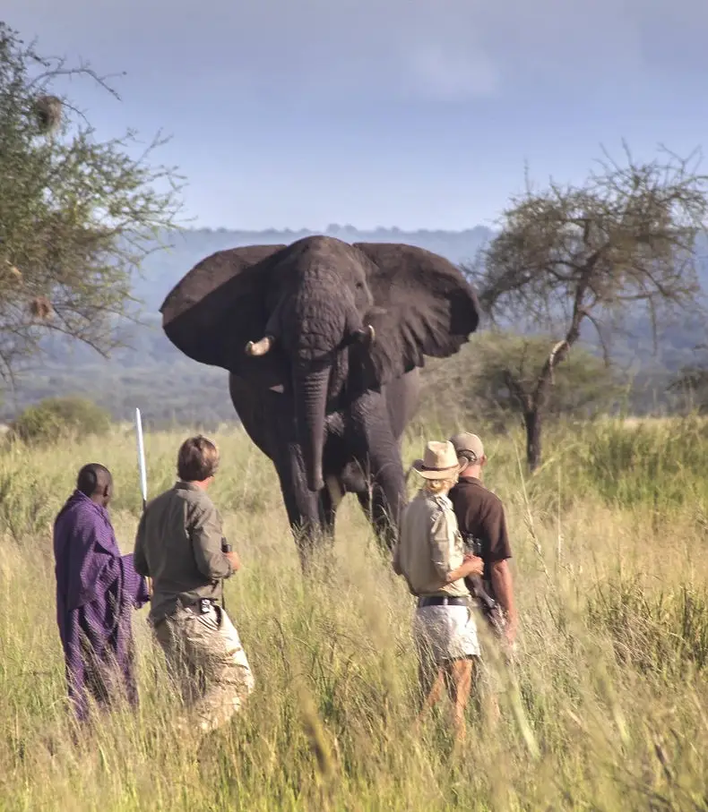 14 Day Best of Tanzania Luxury Safari