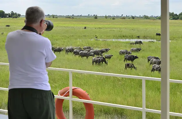 Excellent game viewing on the banks of the Chobe River as you float past