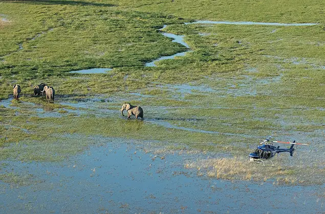 Helicopter flight over the Okavango Delta, Bootswana