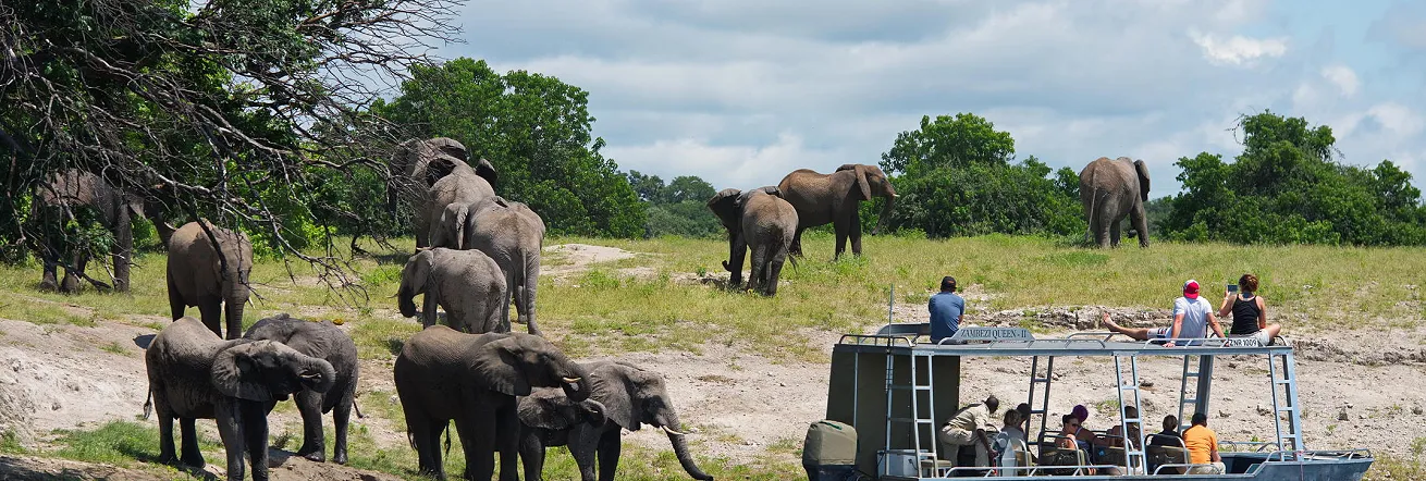 Safari boat cruise on the Zambezi Queen