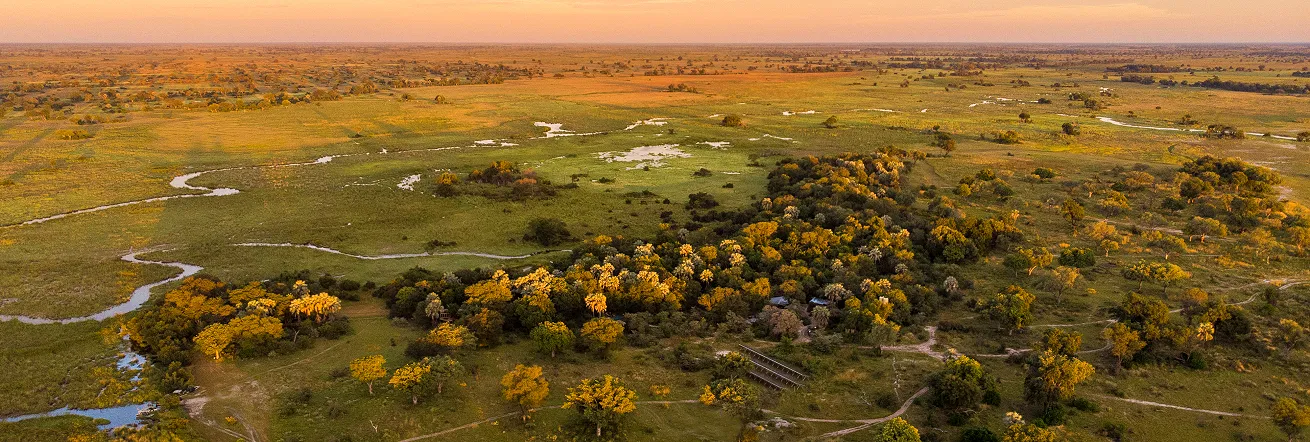 The floodplains of the Okavango Delta