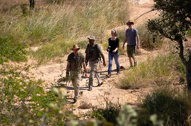 Walking safaris in the Timbavati Private Nature Reserve