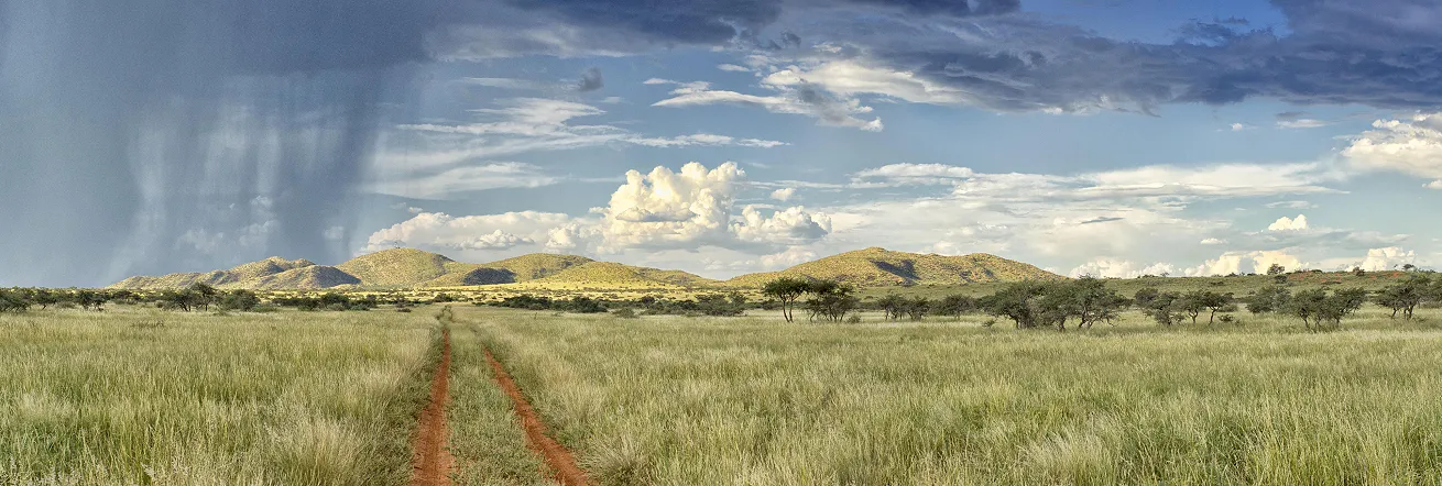 Open spaces, Tswalu Kalahari Reserve