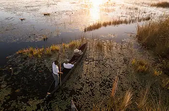 Mokoro Excursion, Little Vumbura, Okavango Delta 