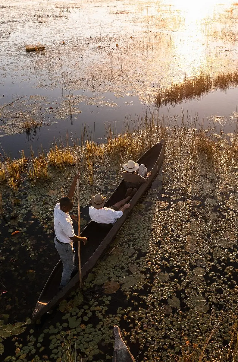 15 Day Luxury Safari to South Africa, Botswana & Zimbabwe