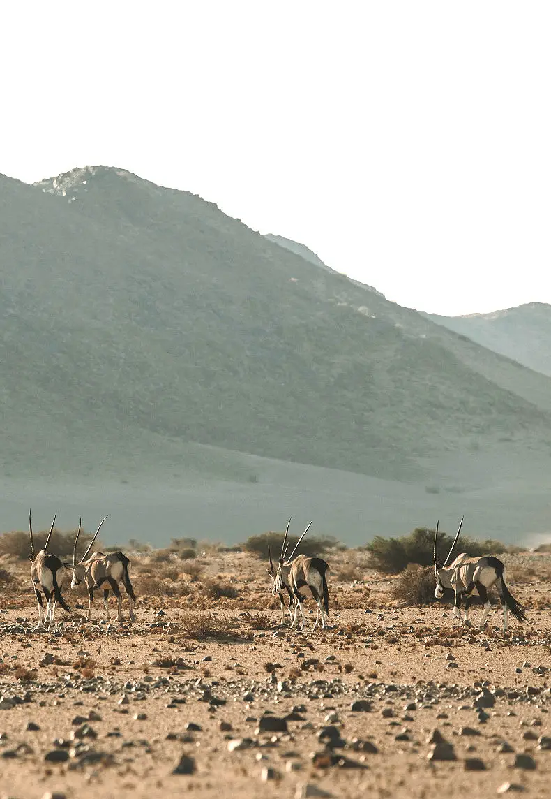 16 Day Best of Namibia Self Drive Tour
