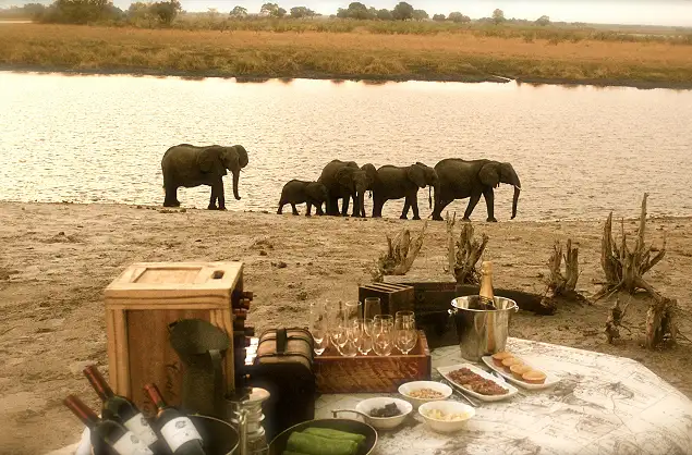 Elephants in from of camp, Nambwa Tented Camp