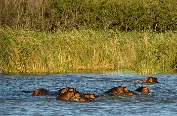 River views in the Caprivi Strip