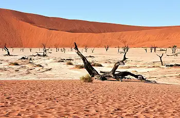 Sossusvlei red sand dunes