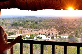 A view of the waterhole right from your balcony at Victoria Falls Safari Lodge