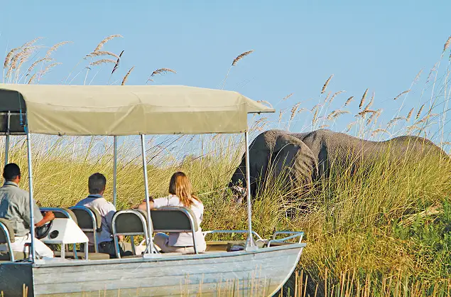 Boat based game viewing in the Okavango Delta