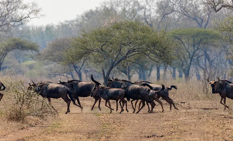 4 Day Eswatini Tour