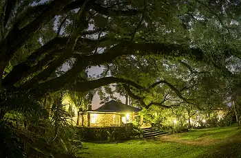 Reilly's Rock gardens at night