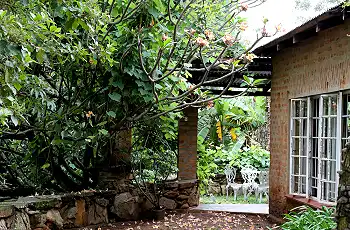 Patios overlooking the lush gardens at Reilly's Rock