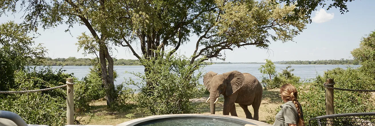 Game viewing from your private deck at Victoria Falls River Lodge