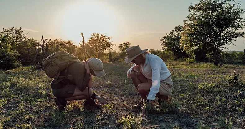 5 Day Animal Tracking Walking Safari