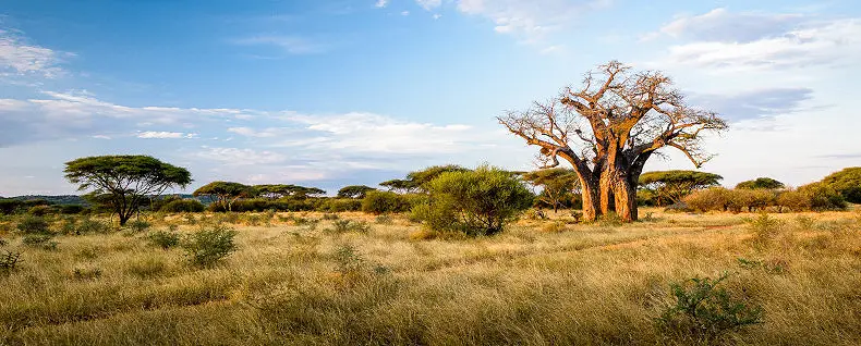 5 Day Singita Pamushana Lodge