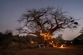 Sundowners by an ancient baobab tree at Singita Pamushana