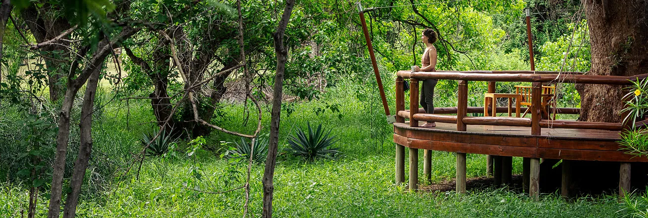 The wooden deck overlooking the bush at Tuli Safari Lodge
