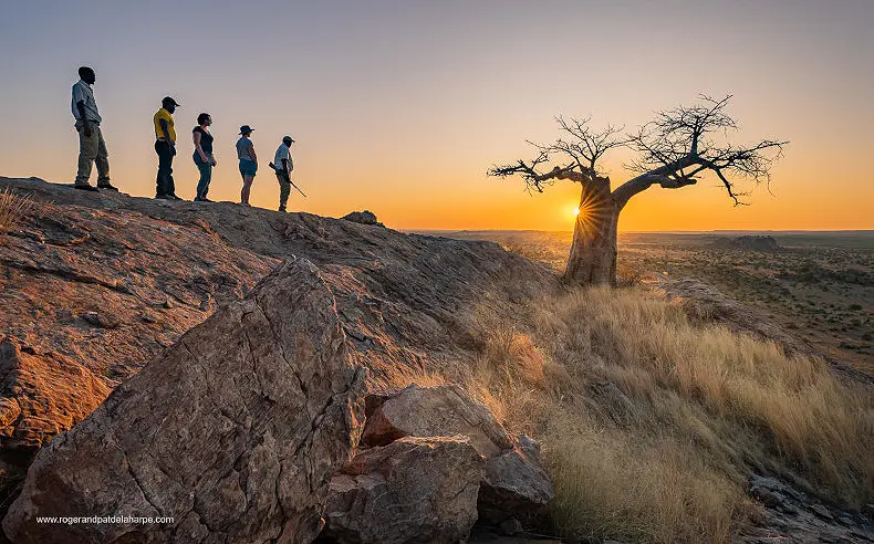 5 Day Tuli Block Safari