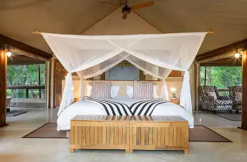 Room interior at Tuli Safari Lodge