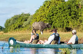 Canoe Safari on the Zambezi River
