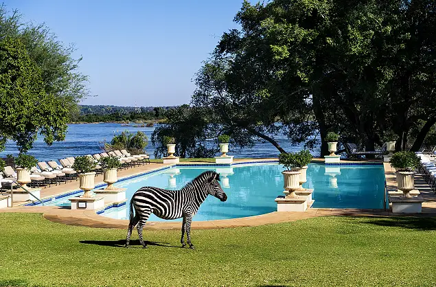 Swimming Pool, Royal Livingstone, Zambia