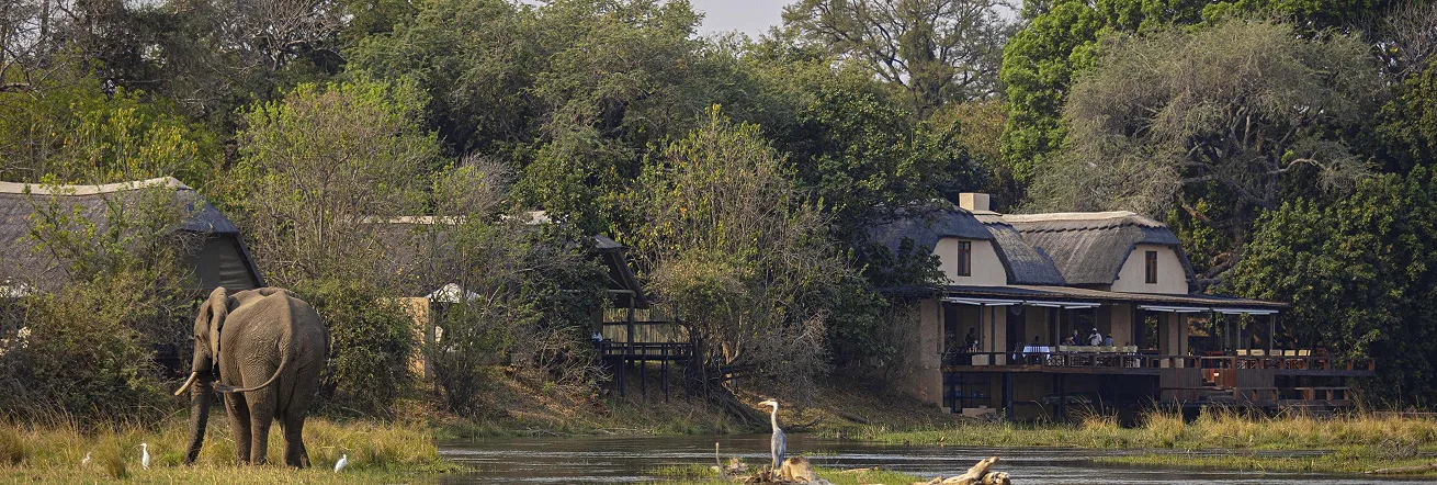 Royal Zambezi overlooks the Zambezi River