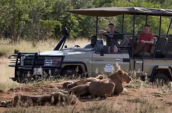 Lions, buffalo, elephant and much more are regularly seen