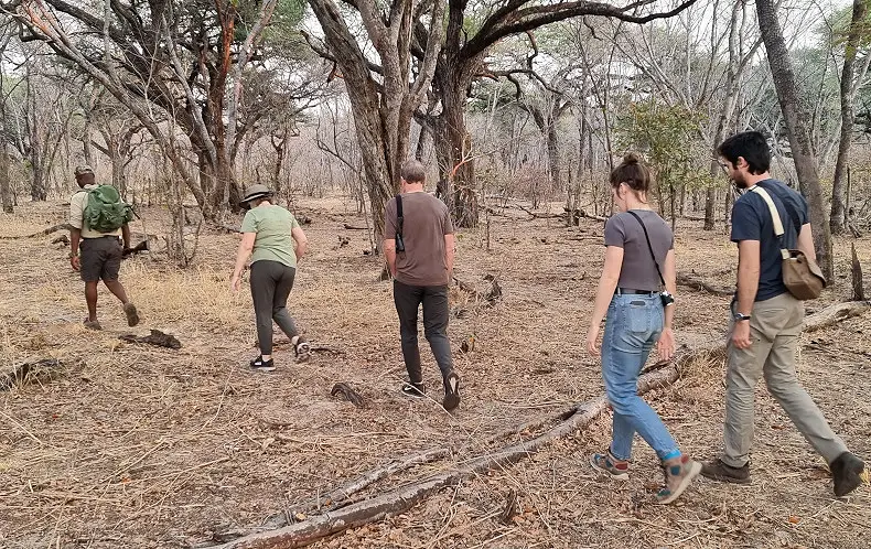 6 Day Hwange and Victoria Falls Walking Safari