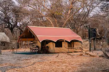 Tents are set in the beautiful woodlands of Hwange