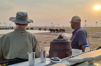 An incredible elephant sighting during sundowners at Kennedy Camp