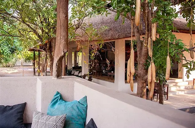 The famous sausage tree overhanging the boma in South Luangwa