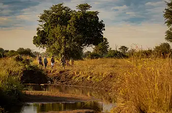 Walking along the riverbanks in the Luambe National Park