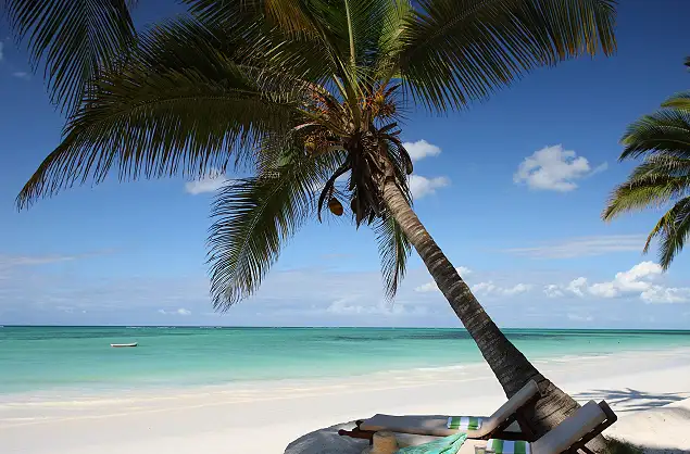 Pristine beaches of Zanzibar