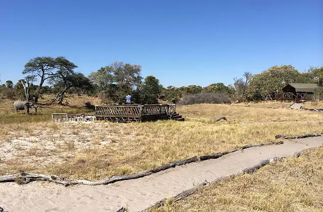 Walkways through camp, Camp Savuti