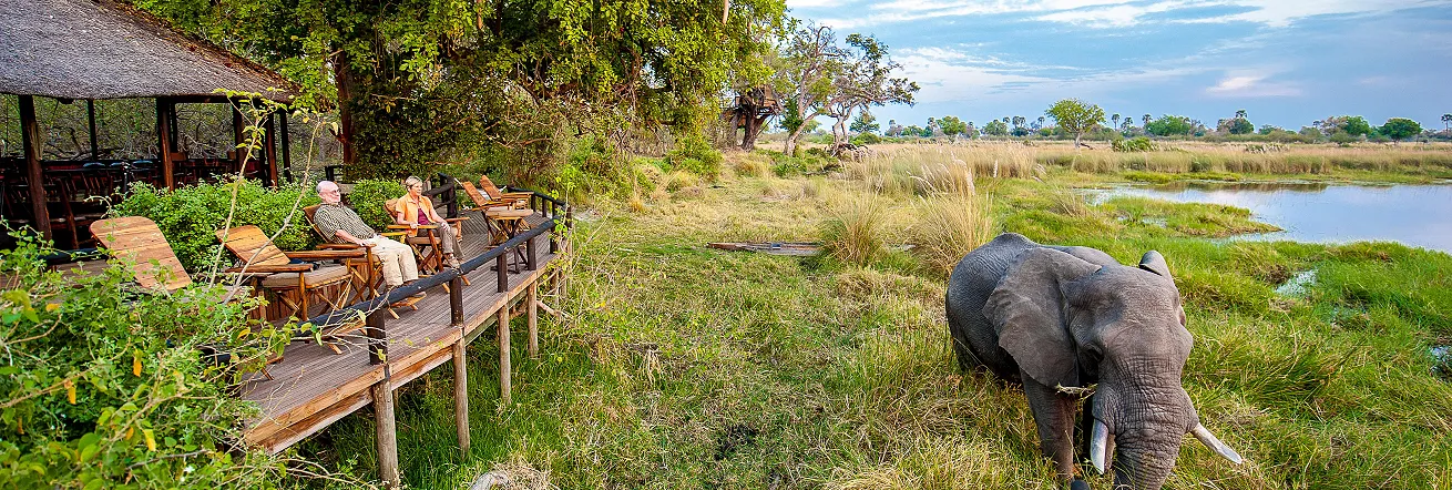 Game viewing right from the deck at Delta Camp