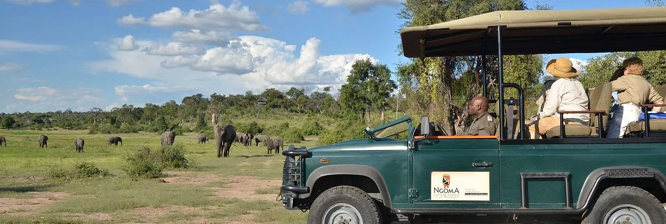 Guided game drives at Ngoma Safari Lodge