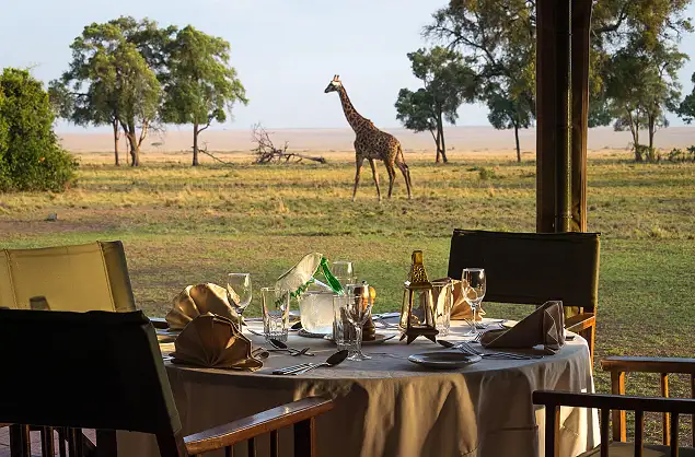 Game viewing during breakfast at Governors Camp